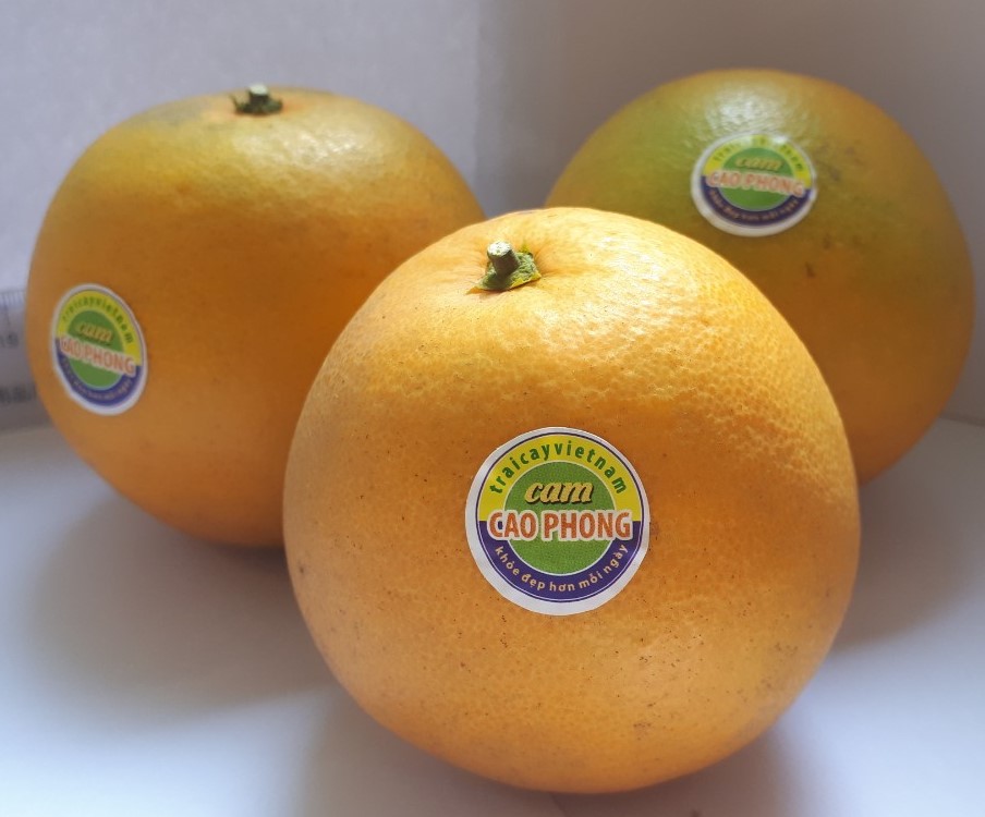 Cao Phong Orange