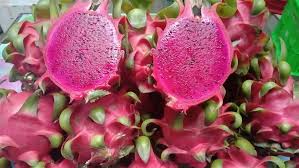 Red-flesh dragon fruit