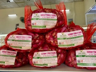 Phu Sinh Purple Shallot