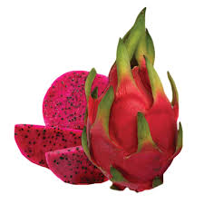 Red-flesh dragon fruit