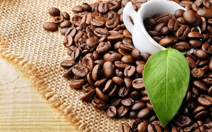 Inquiry for exporting coffee beans to Turkey