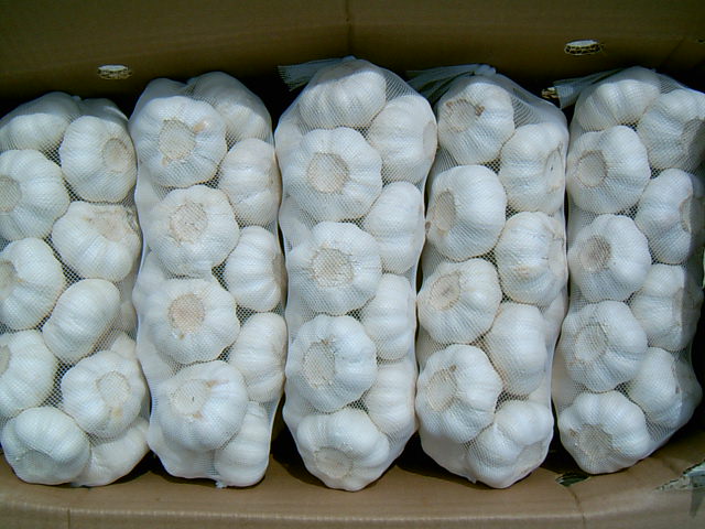 Export of dried white garlic to Italy