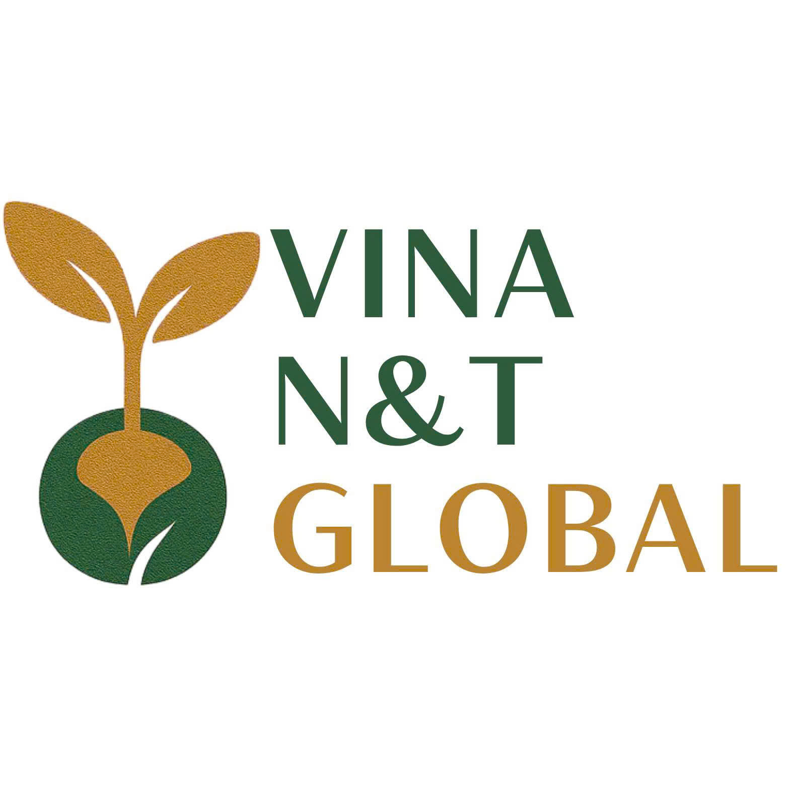 Công ty TNHH thương mại và dịch vụ xuất nhập khẩu Vina N&T Global